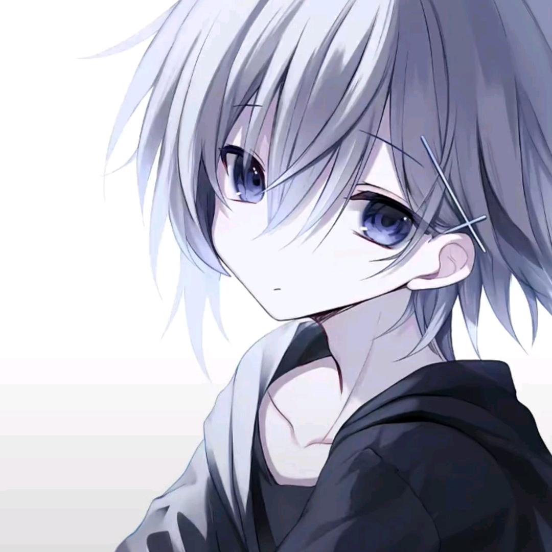 云ovo