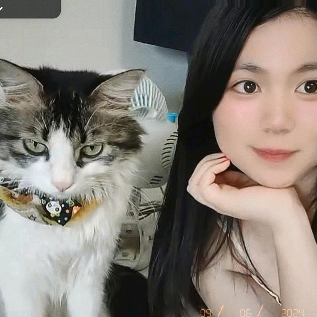 一只胖胖的憨憨