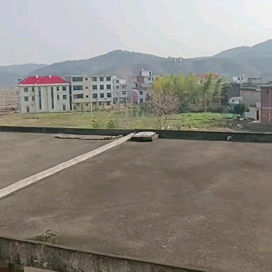 白风九和小仙女