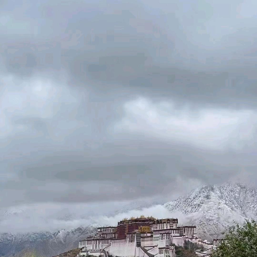 简单<为何思念太倔强