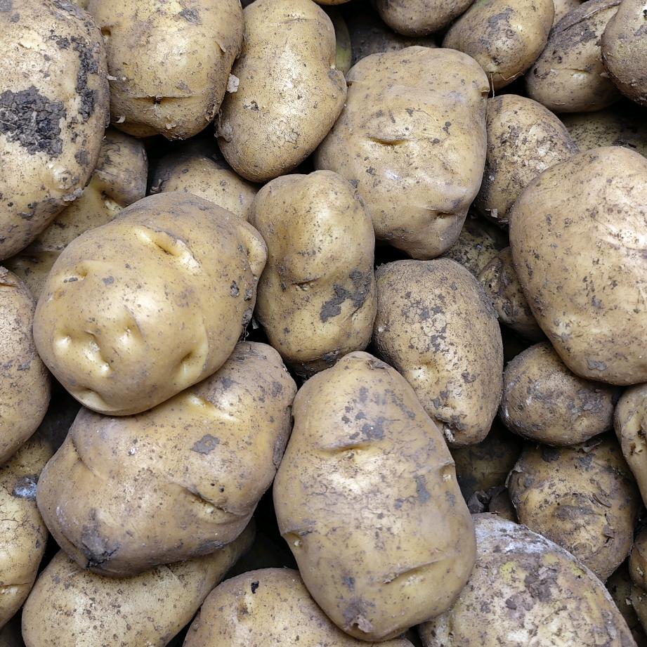 贵州特产黔农坊