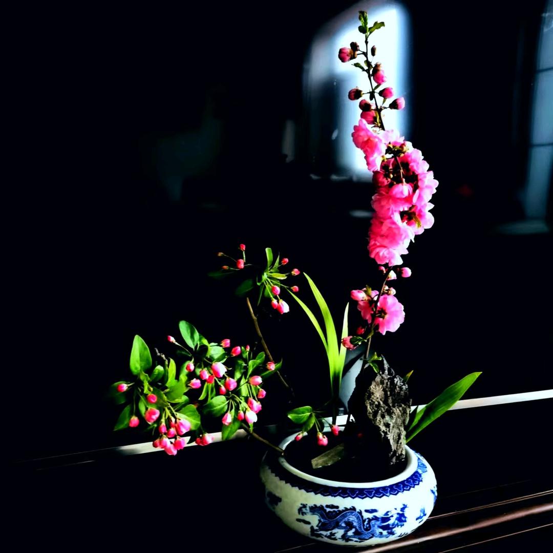 芷兰