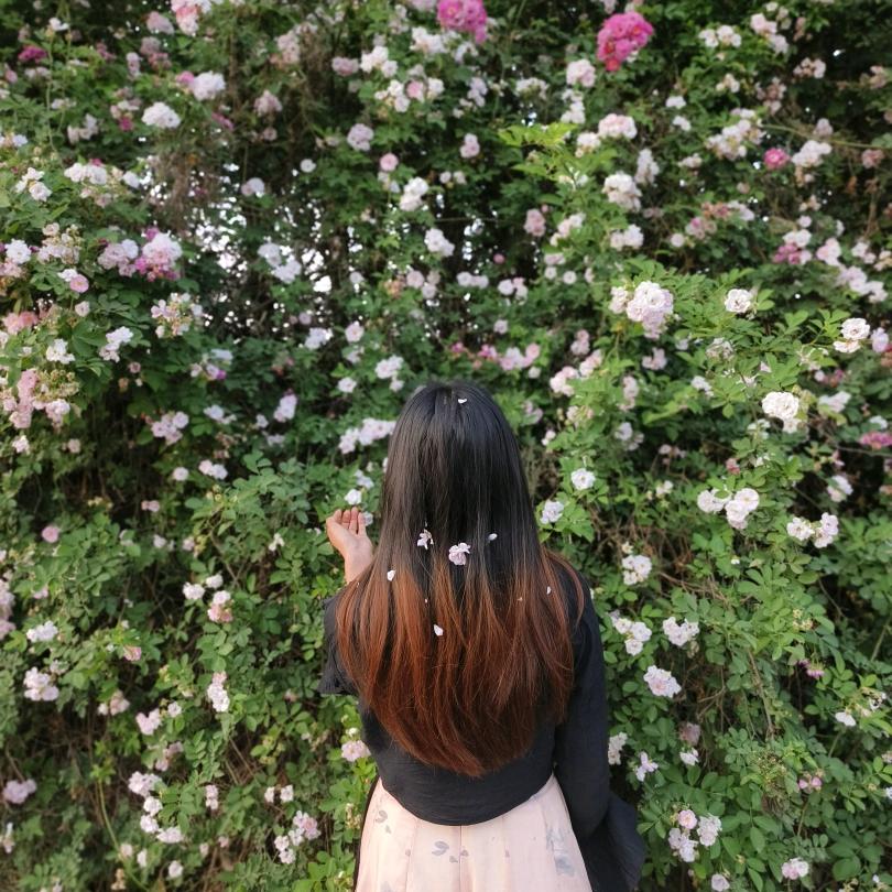 @༺༂༽兜兜💞࿐有米