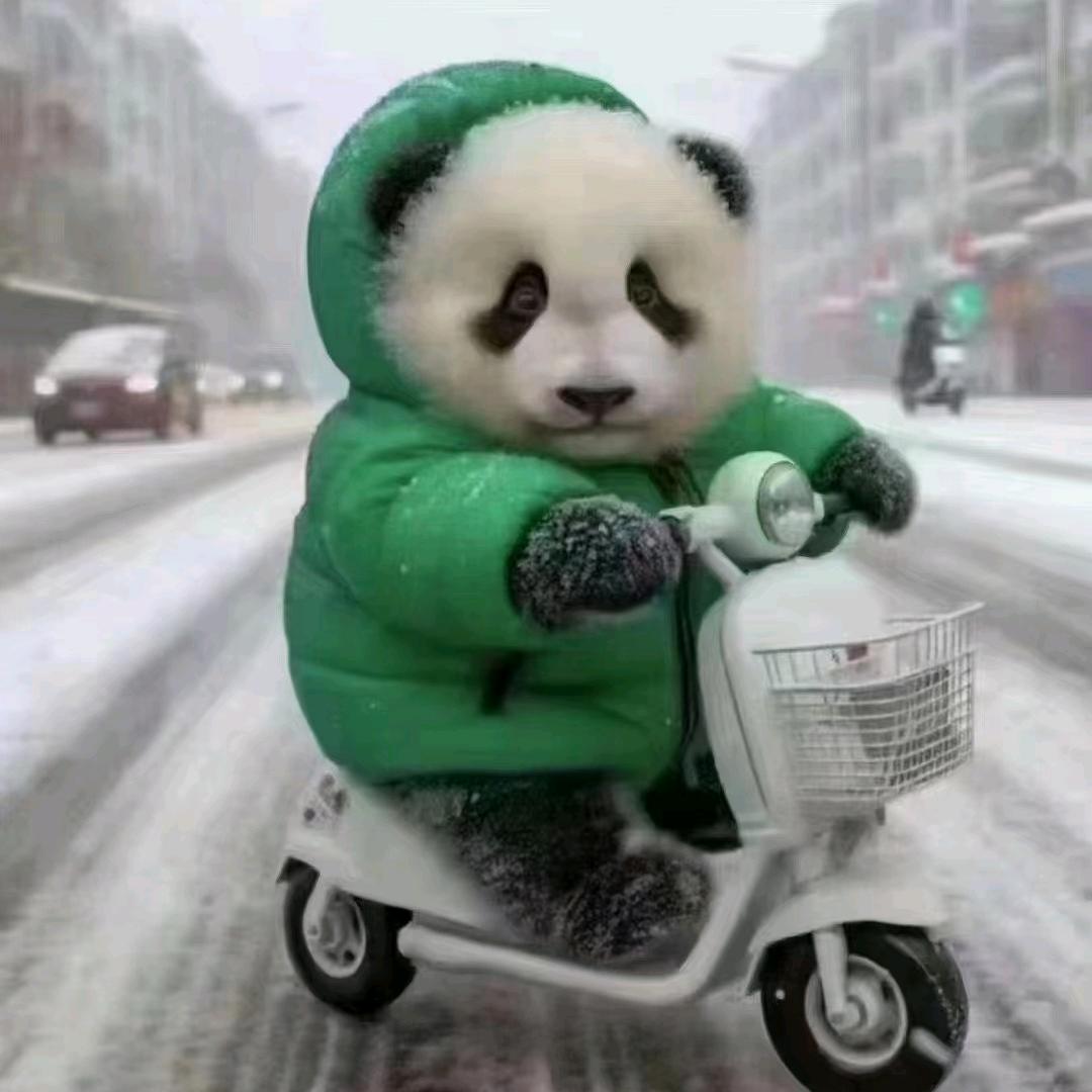 忘忧草(●—●)