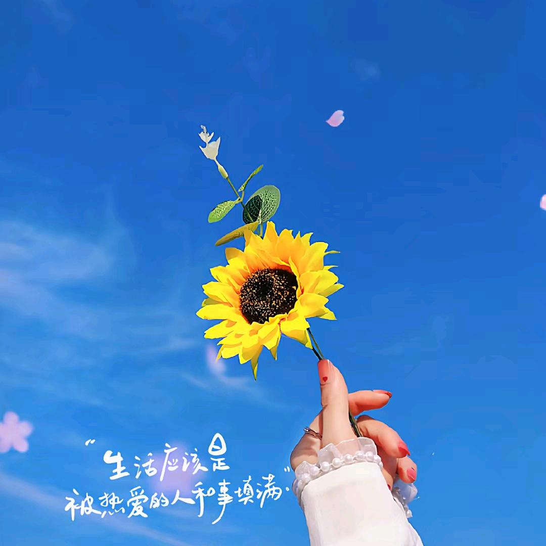 A🌻