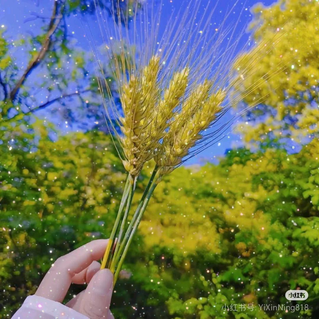 小闹心