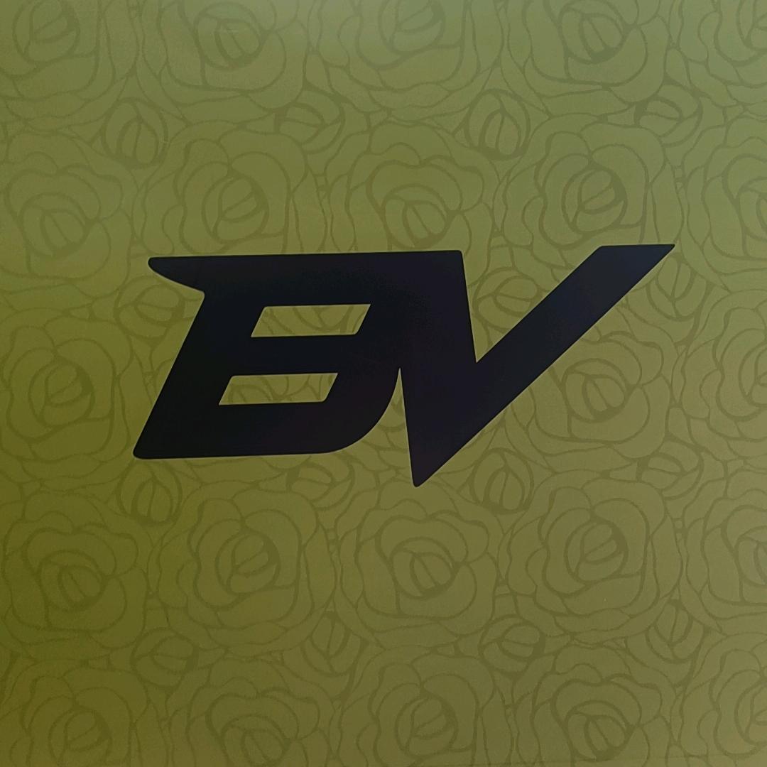 BV服饰配件旗舰店