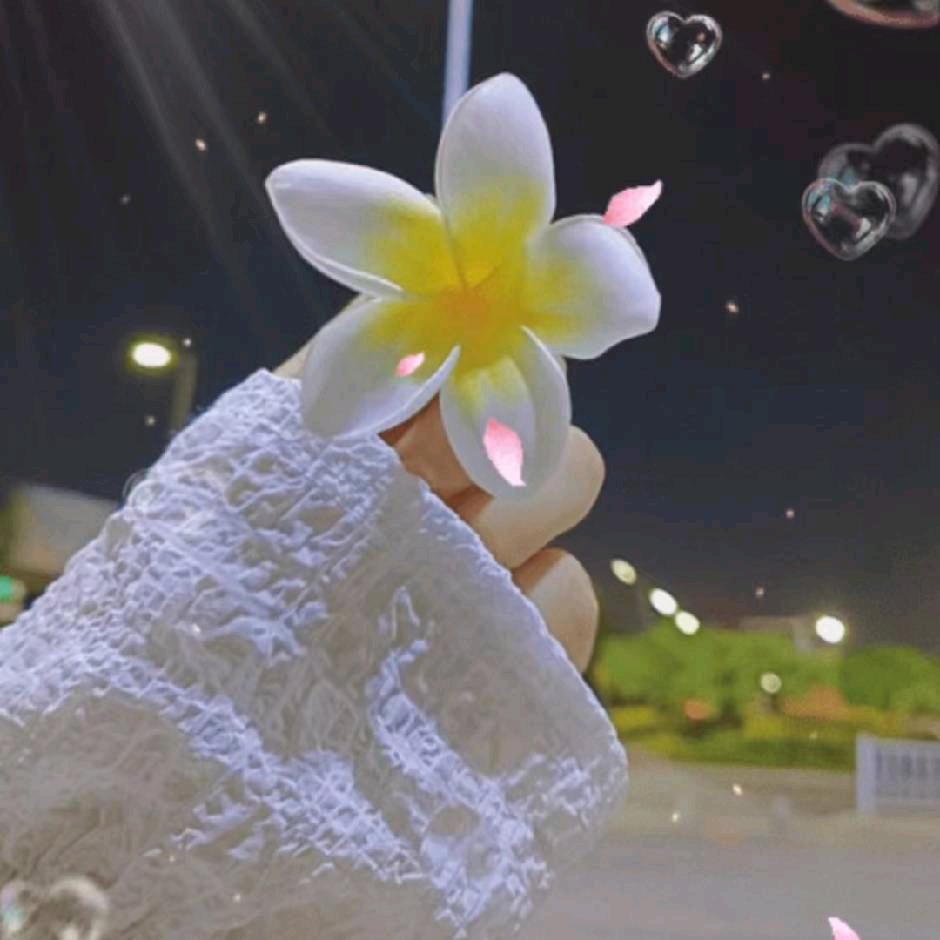 小鱼儿🌸