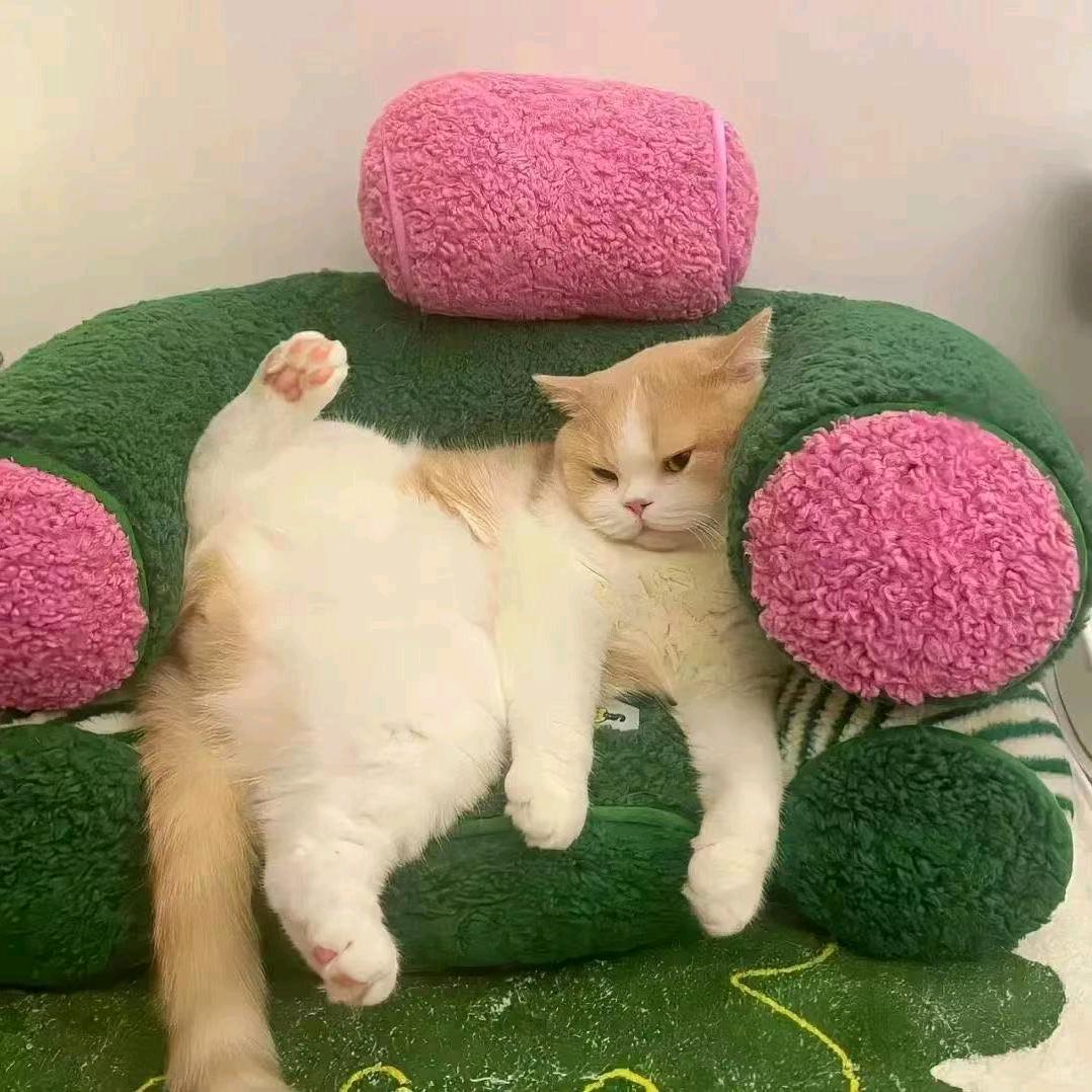 参.