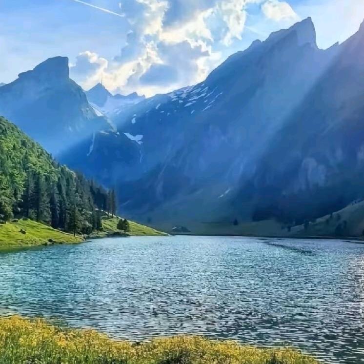 长亭外古道边，芳草       天