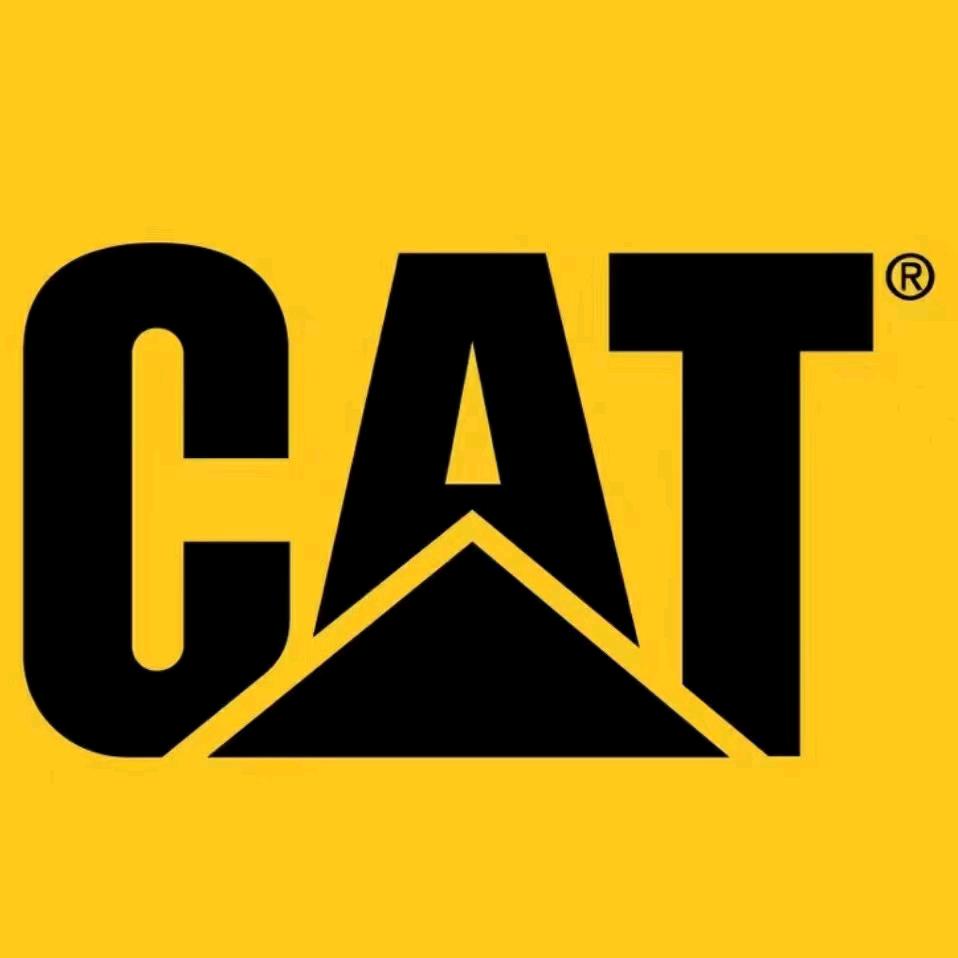 星🌟之洋（奋斗版）