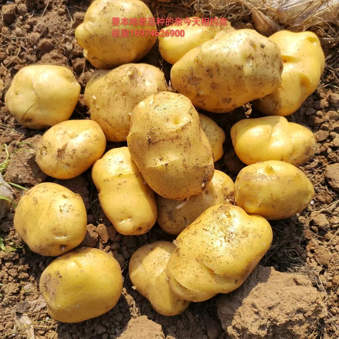 常年收售农产品