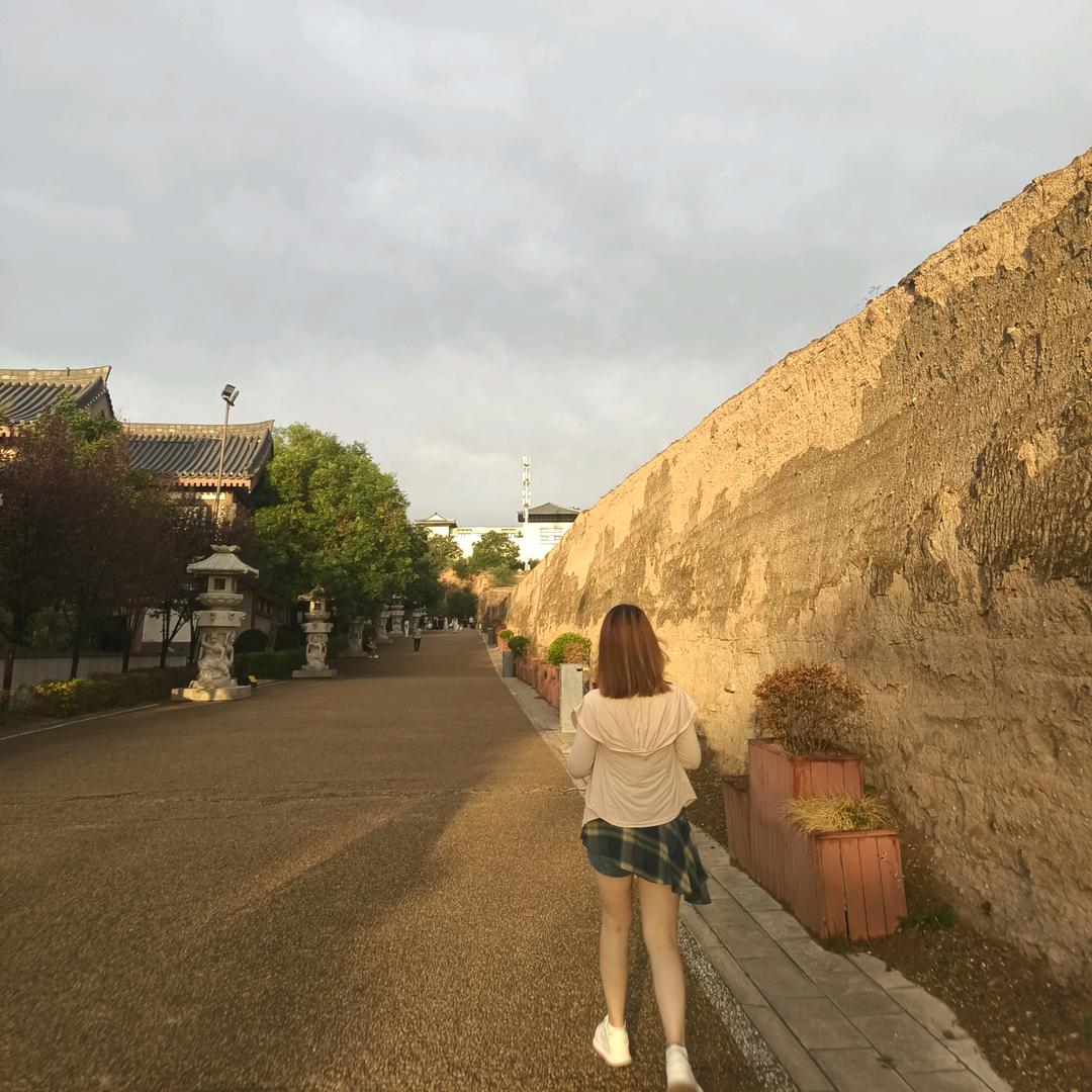 新苗流动餐饮🎀