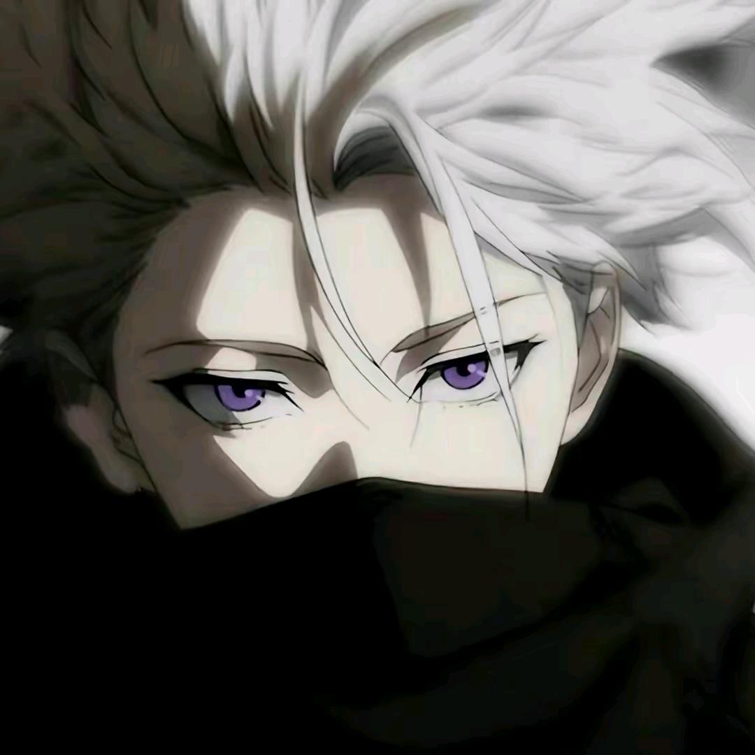 红月 ziv
