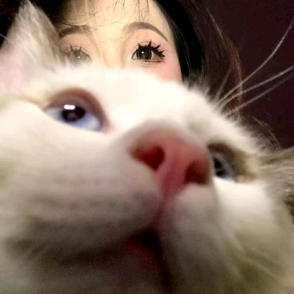 ₍ᐢ..ᐢ₎ ִִ