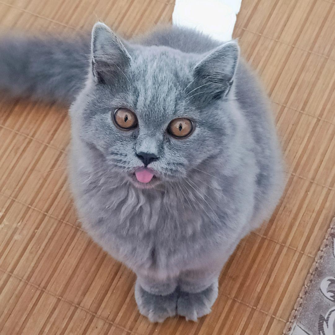 ๑冰糖炖薛李(❁´◡`❁)*✲ﾟ
