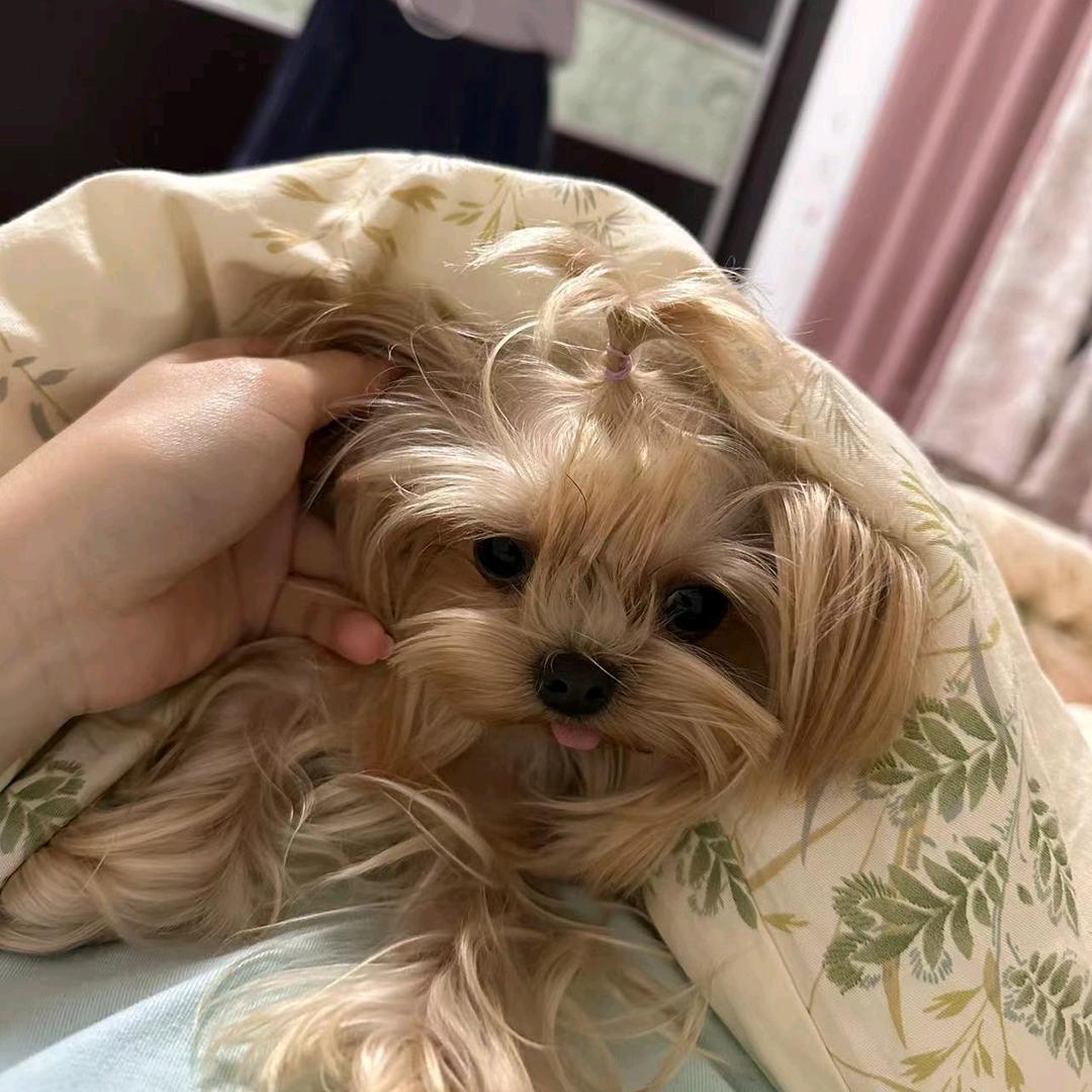 @是你就是你