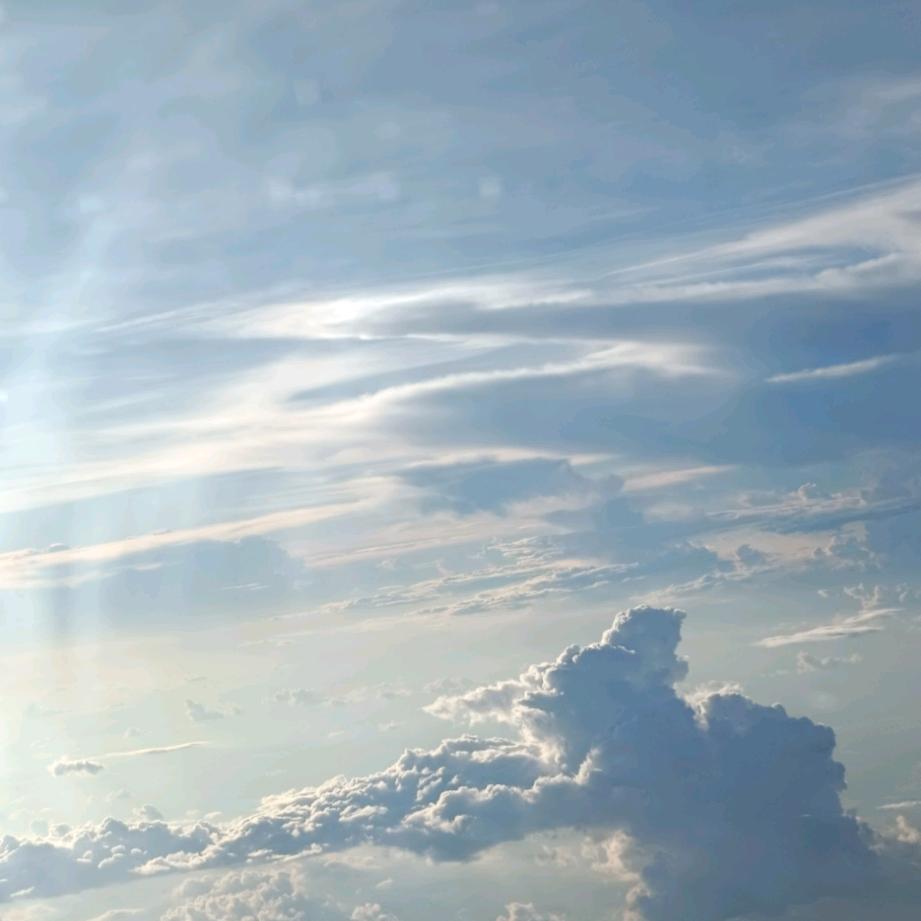 杠骑将军