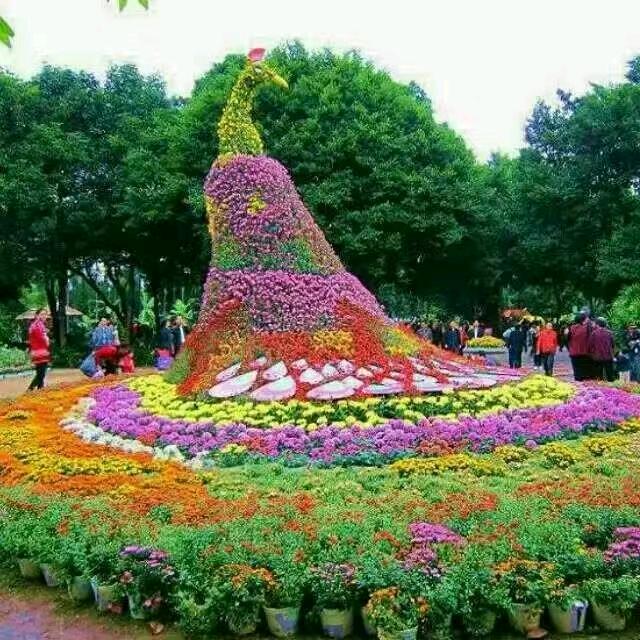 晏和兵