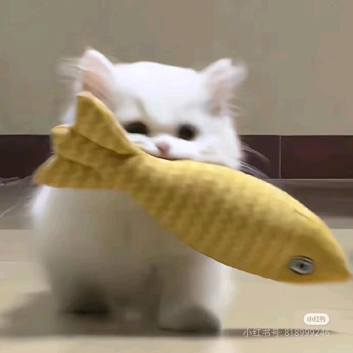 半截的诗