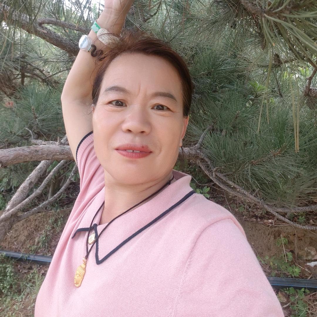 菊姐橱窗有好物