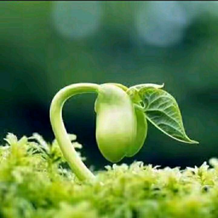 ໑ຼₒ₂5ღ᭄单身好男人🦋꧔ꦿ᭄💞