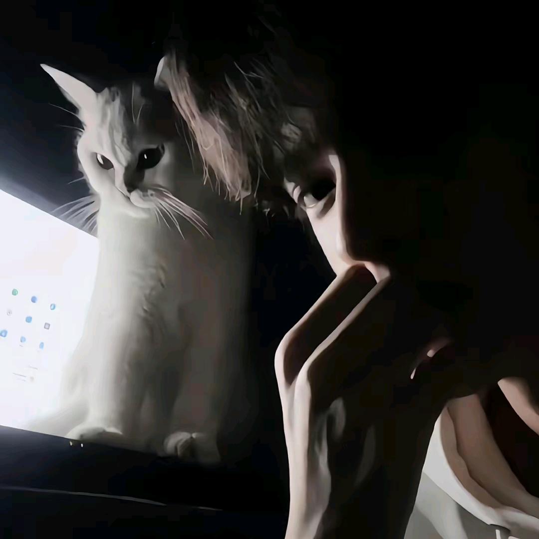不想游蛙泳🌧