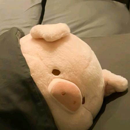 菘菘土狗