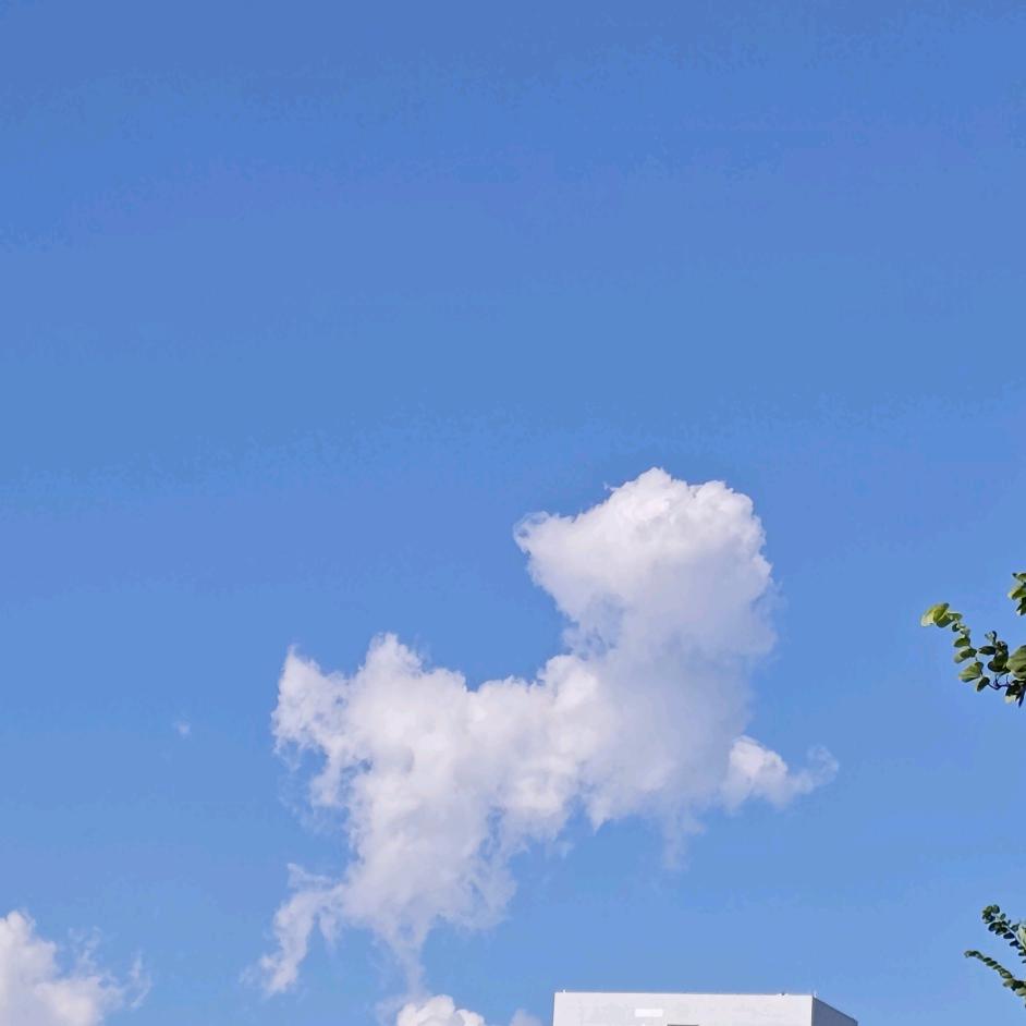 生活要乐在其中