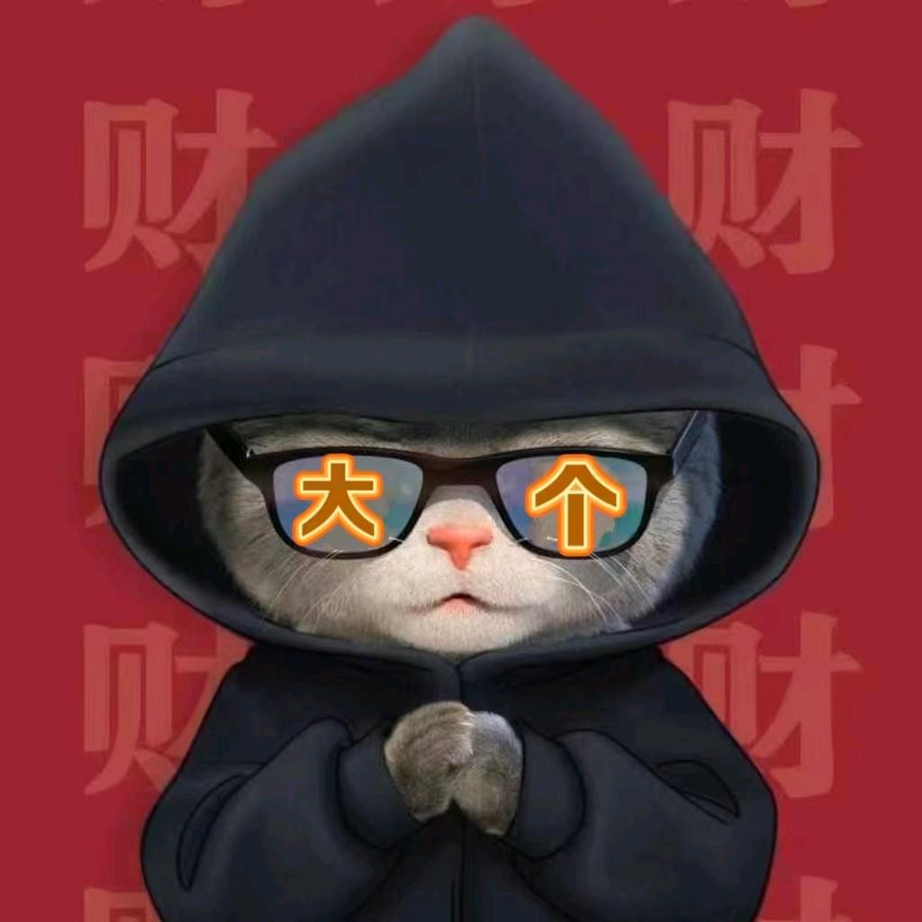 禅游大个