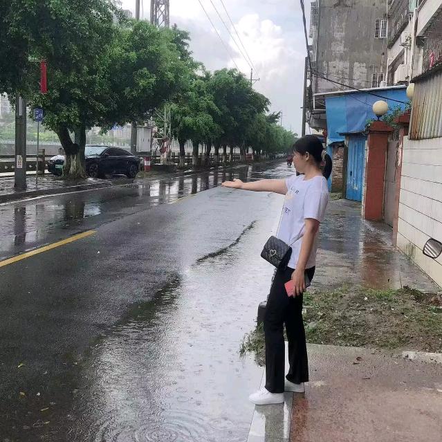 小燕子