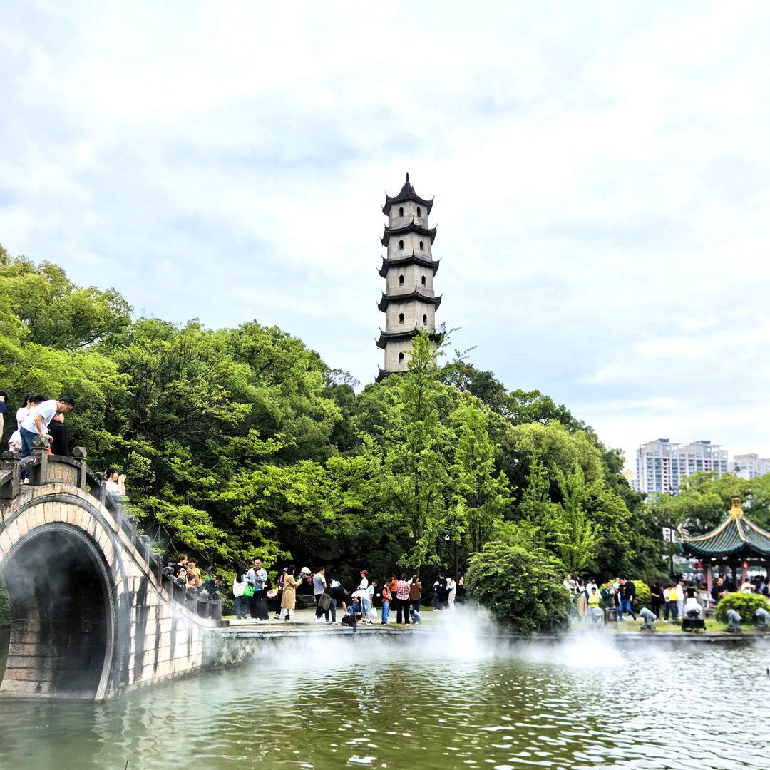 乐天派隨风