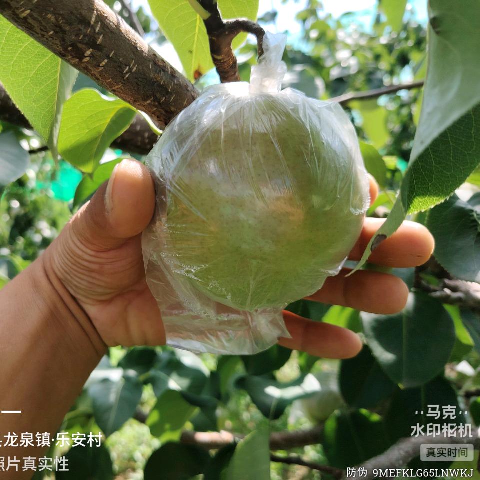 80后果农