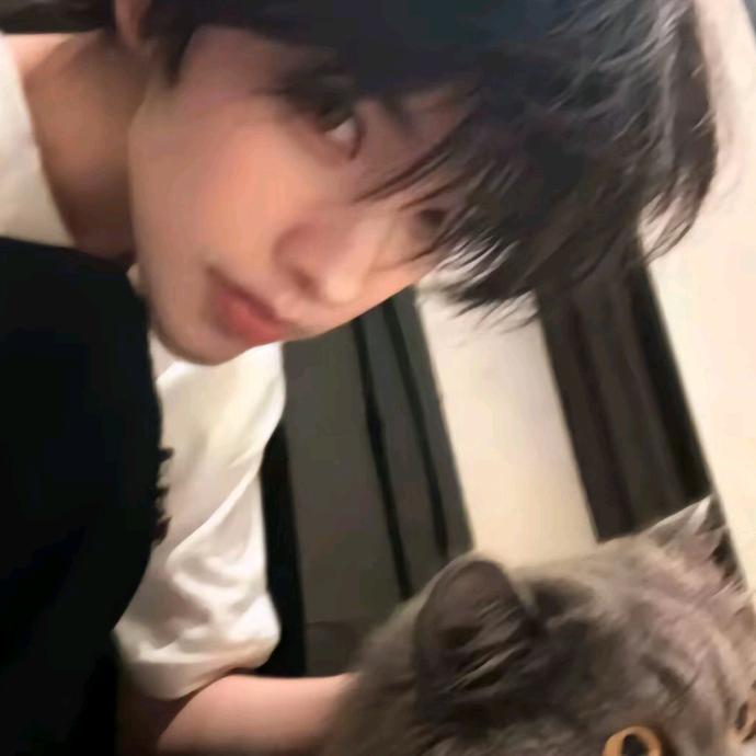 妄枱(u‿ฺu✿)