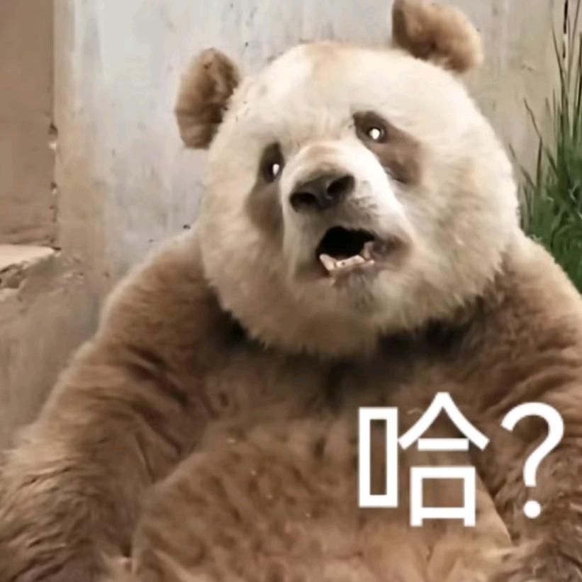 原某人
