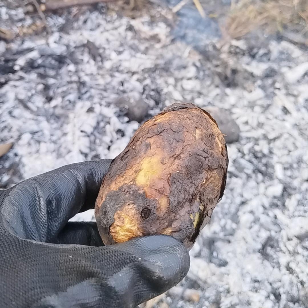 王副导的草稿箱