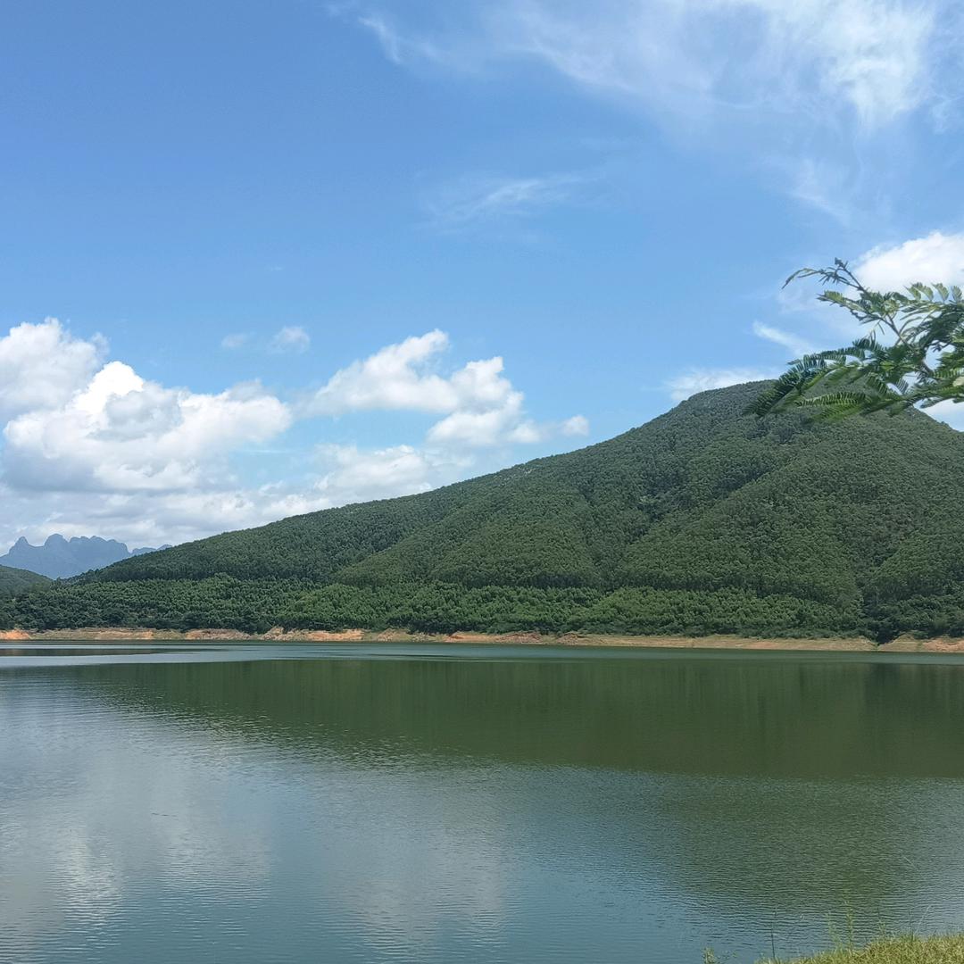 努力吧