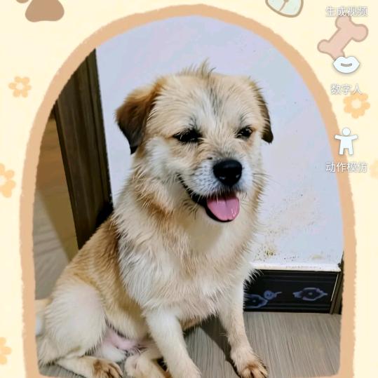风雨兼程
