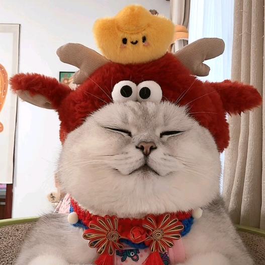 芬儿头的上班日记