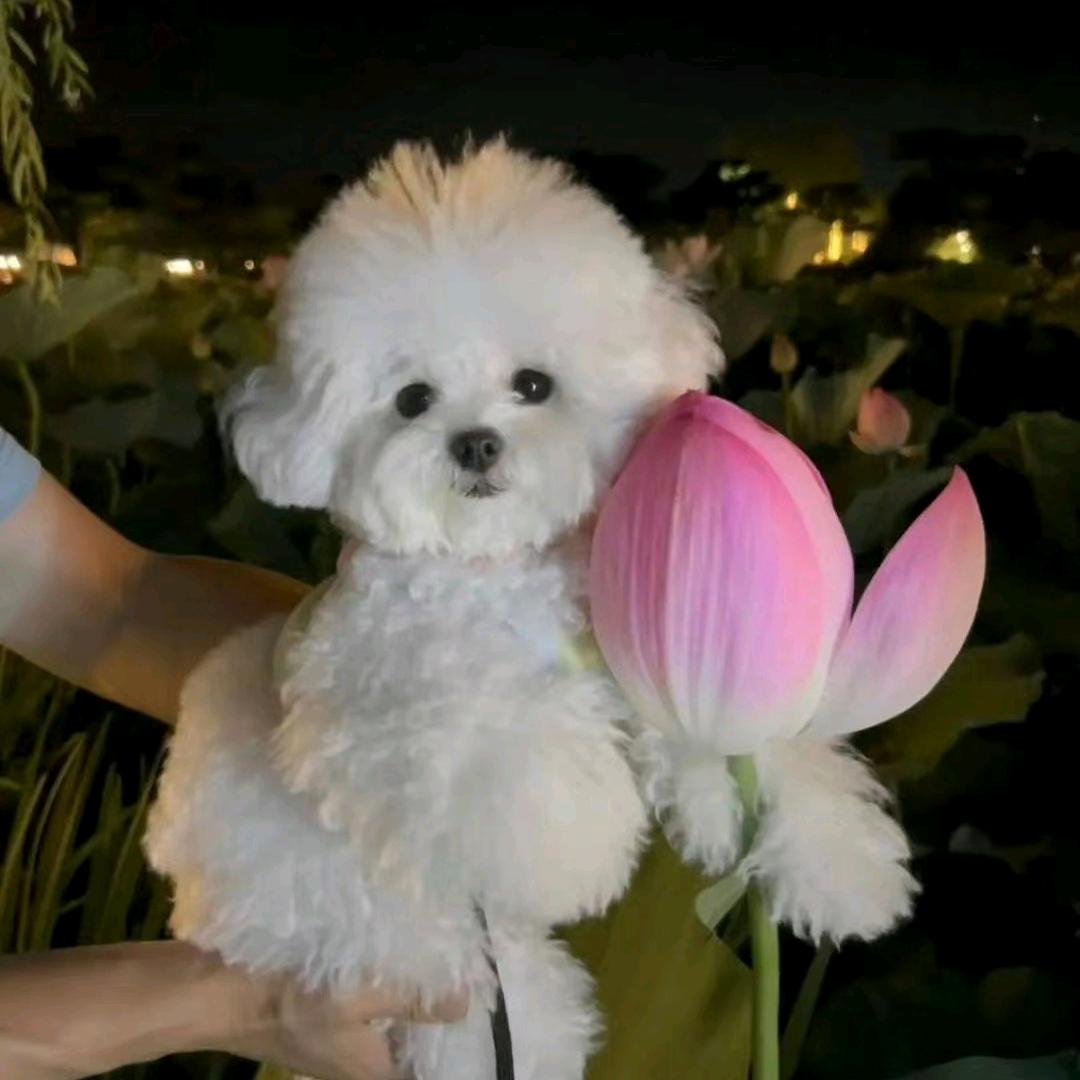 ？头像
