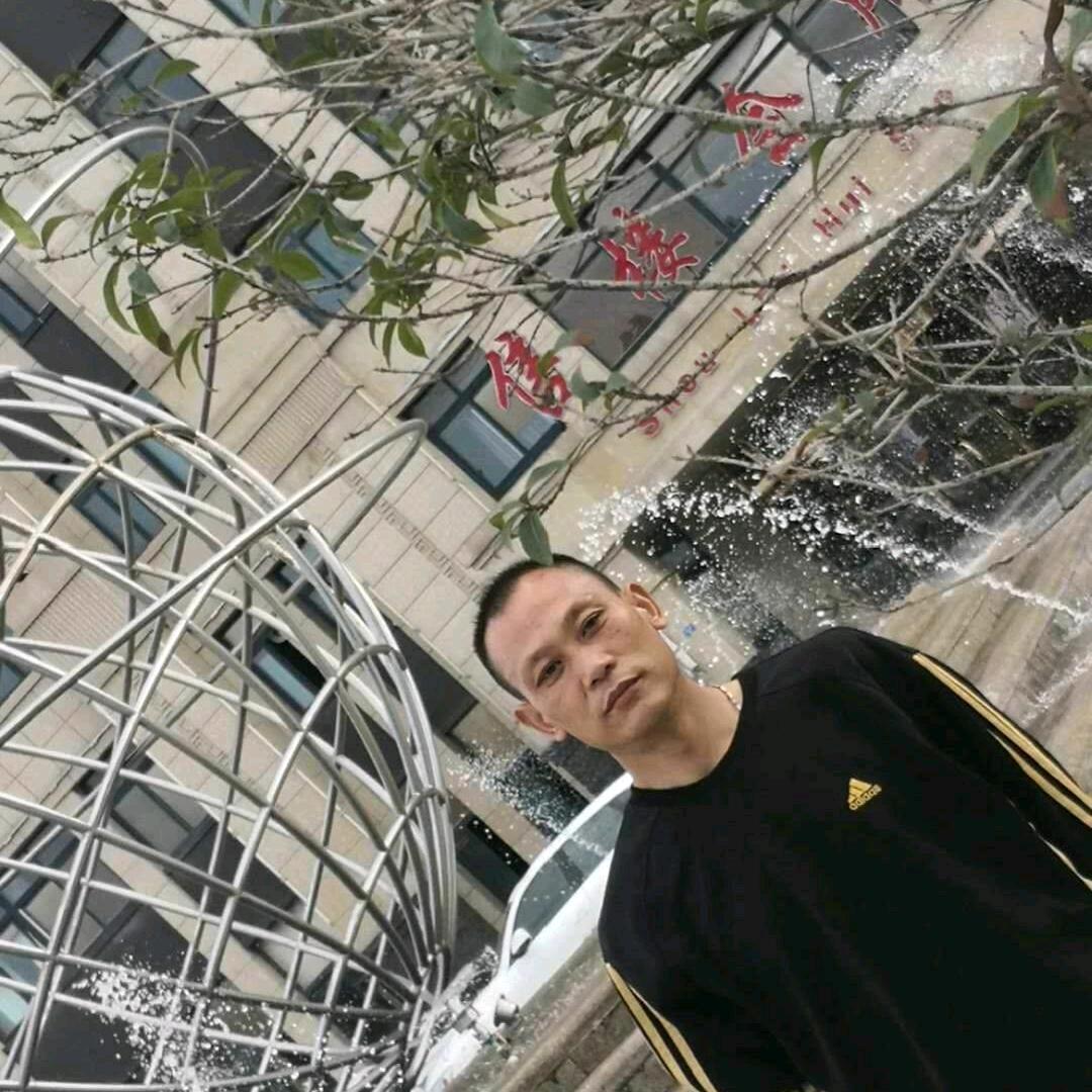 早晨的太阳_190030266
