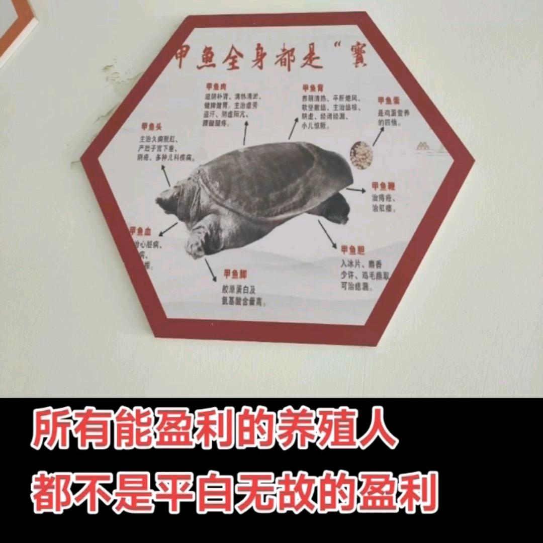 郑氏水产