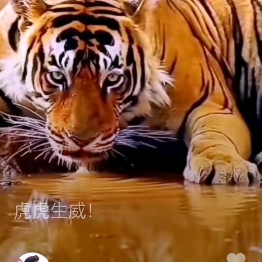 落雨