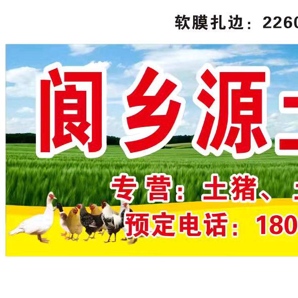 学哥回忆