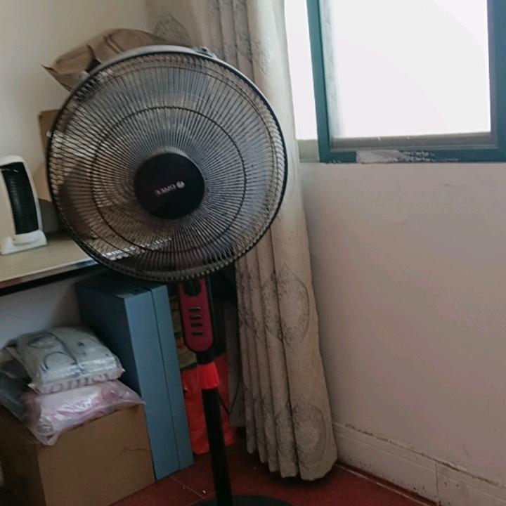 《虎哥》