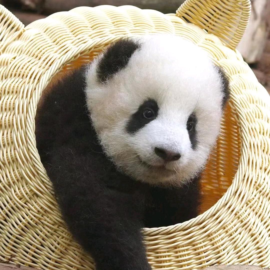 上岸小e