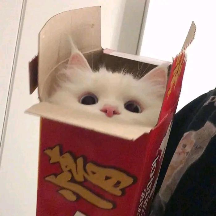 圆卷酱