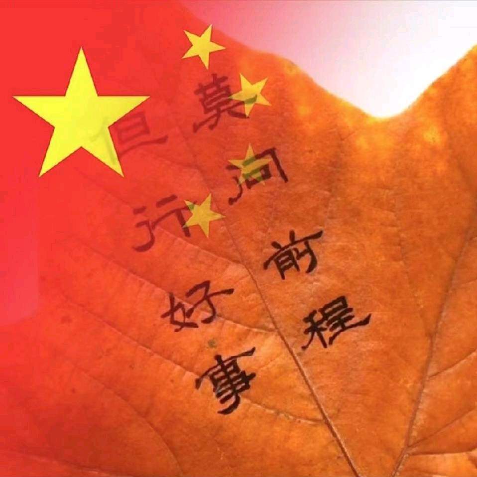 老张鱼行