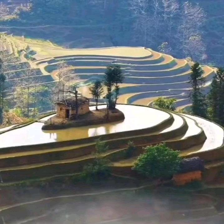 各自安好