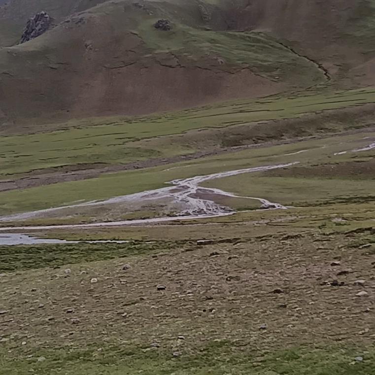 仲巴        次旺